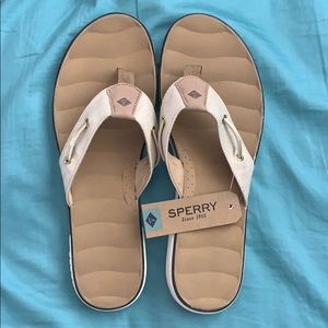 Sperry Oar Brook Flip Flops NWT Sandals
